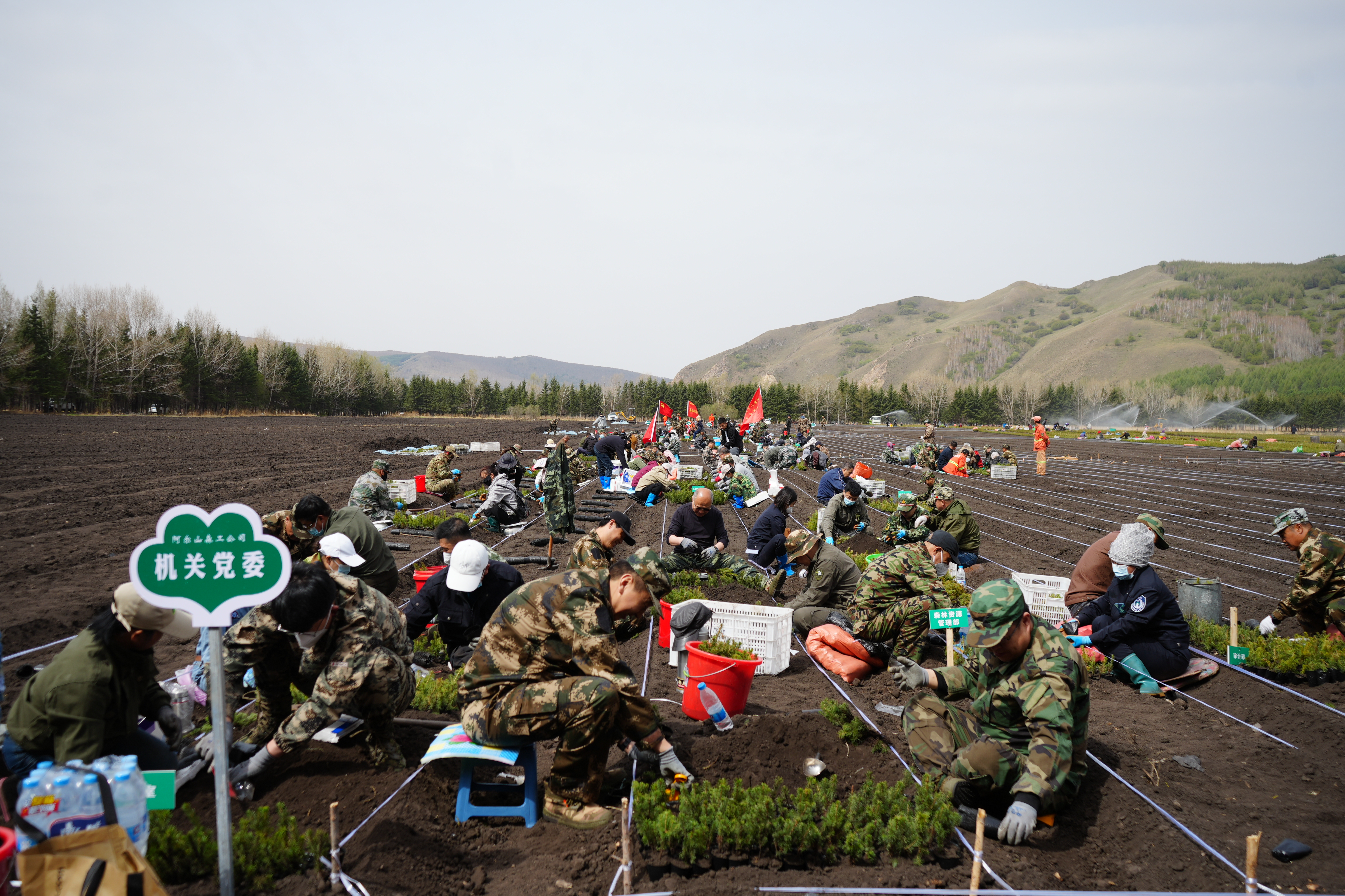 5.13“植”此青綠 ——阿爾山森工公司機關黨委開展“弘揚勞動精神 錘煉優(yōu)良作風 共建美麗林區(qū)”苗木灌杯工作.docx.JPG